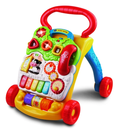 D2 Vtech Baby Barnets første Gåvogn