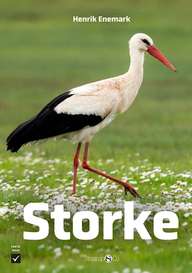 Storke