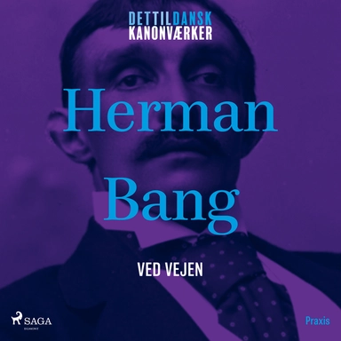 Ved vejen. Et kanonværk