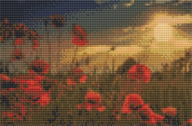 Diamond Art Valmuer/Natur 20X30Cm