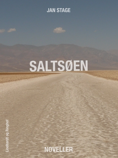 Saltsøen
