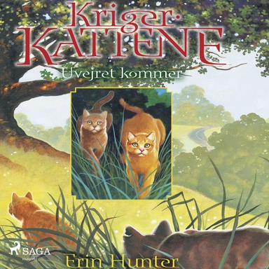 Uvejret kommer - Krigerkattene 4
