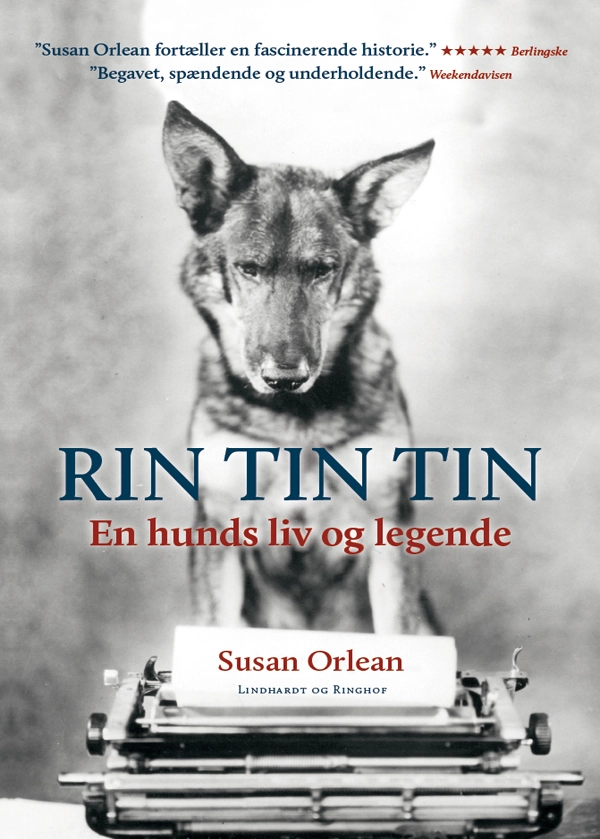 Rin Tin Tin