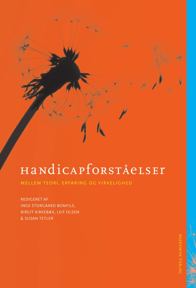 Handicapforståelser Mellem Teori Erfaring Og Virkelighed