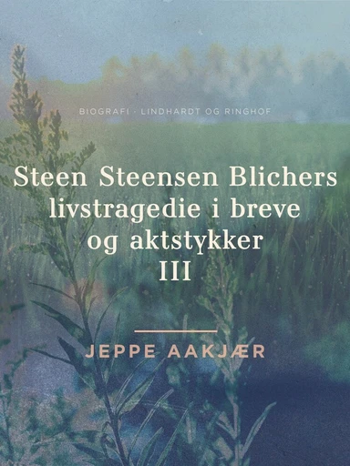 Steen Steensen Blichers livstragedie i breve og aktstykker