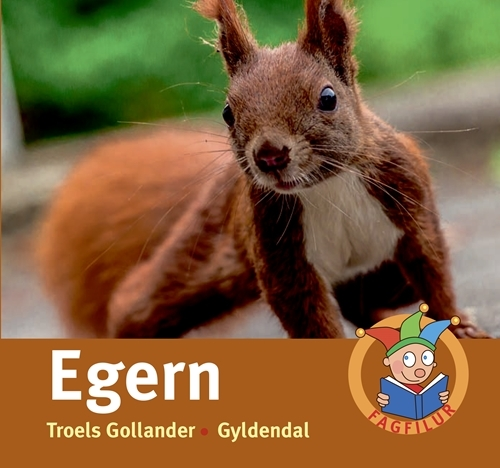 Billede af Egern