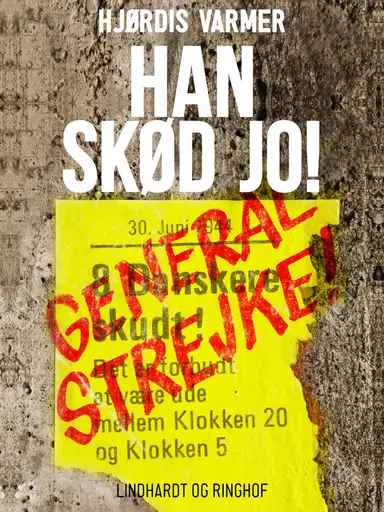 Han skød jo!