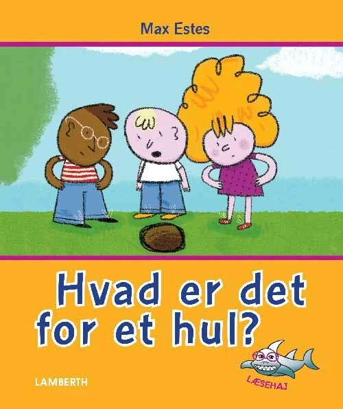 Billede af Hvad er det for et hul?