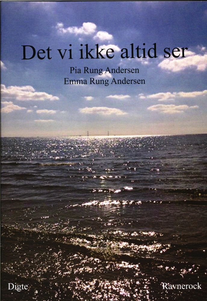 Billede af Det vi ikke altid ser