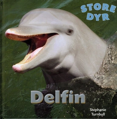 STORE DYR: Delfin