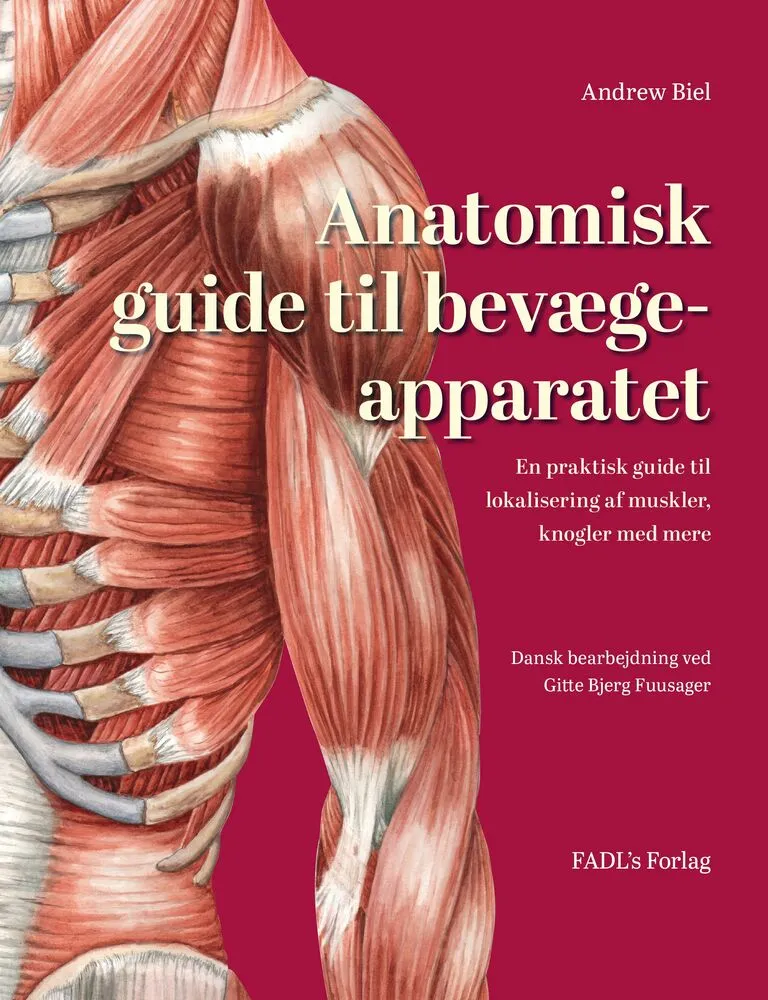 Billede af Anatomisk guide til bevægeapparatet