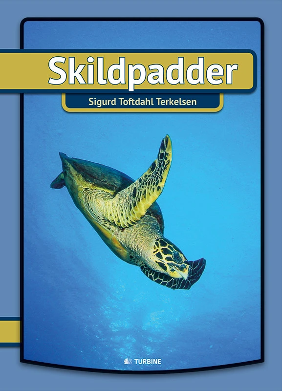 Billede af Skildpadder