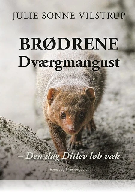 Brødrene Dværgmangust