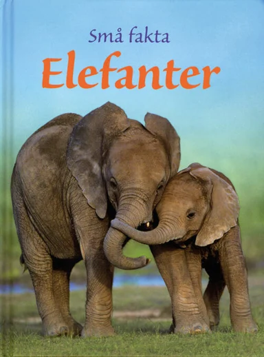Små fakta: Elefanter
