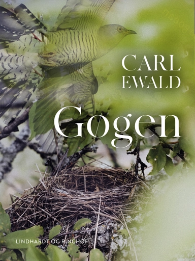 Gøgen