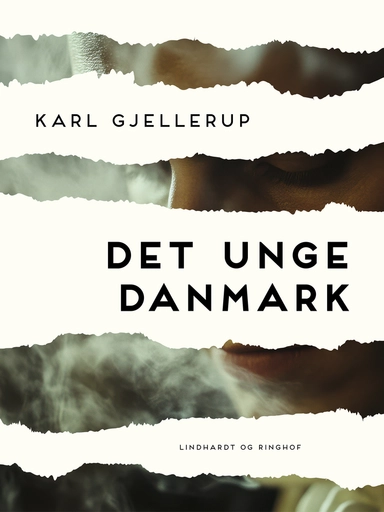 Det unge Danmark