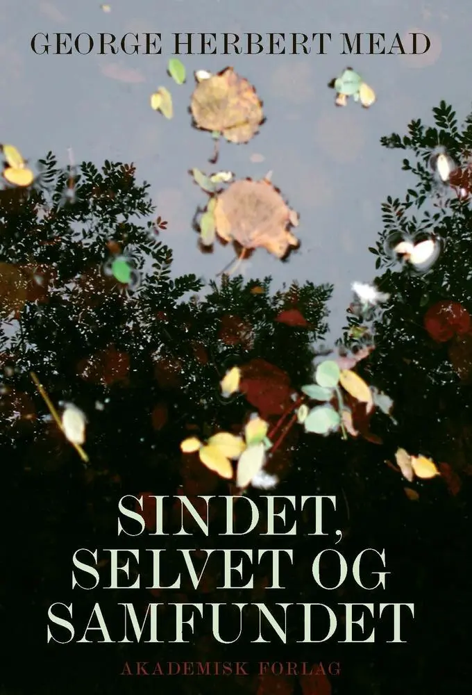 Billede af Sindet, selvet og samfundet
