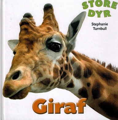 STORE DYR: Giraf