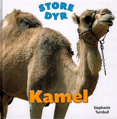 STORE DYR: Kamel