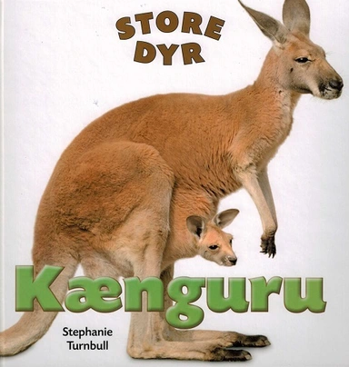 STORE DYR: Kænguru