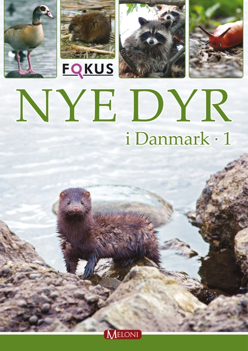 Billede af Nye dyr i Danmark 1