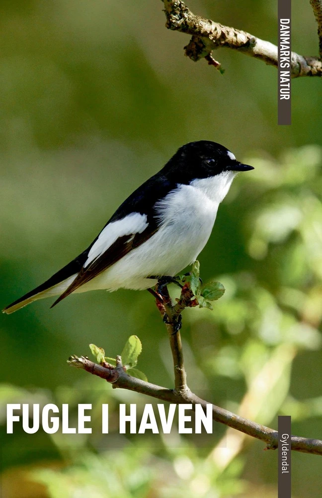 Billede af DANMARKS NATUR Fugle i haven