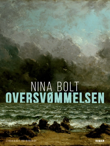 Oversvømmelsen