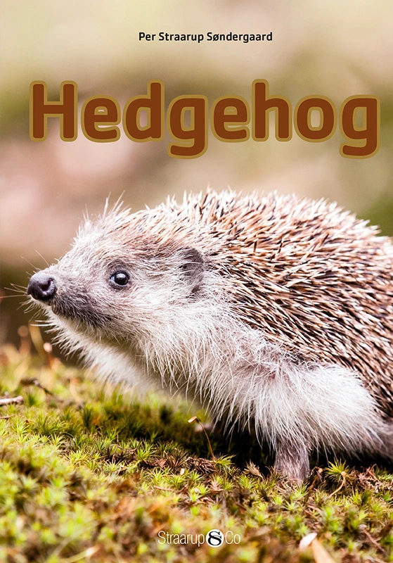 Hedgehog