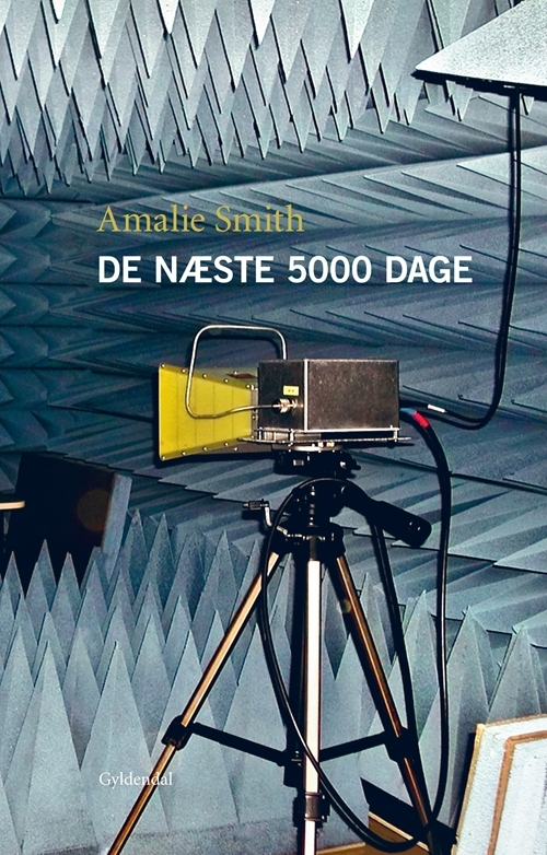 Billede af De næste 5000 dage