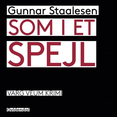 Som i et spejl (Varg Veum nr. 11)