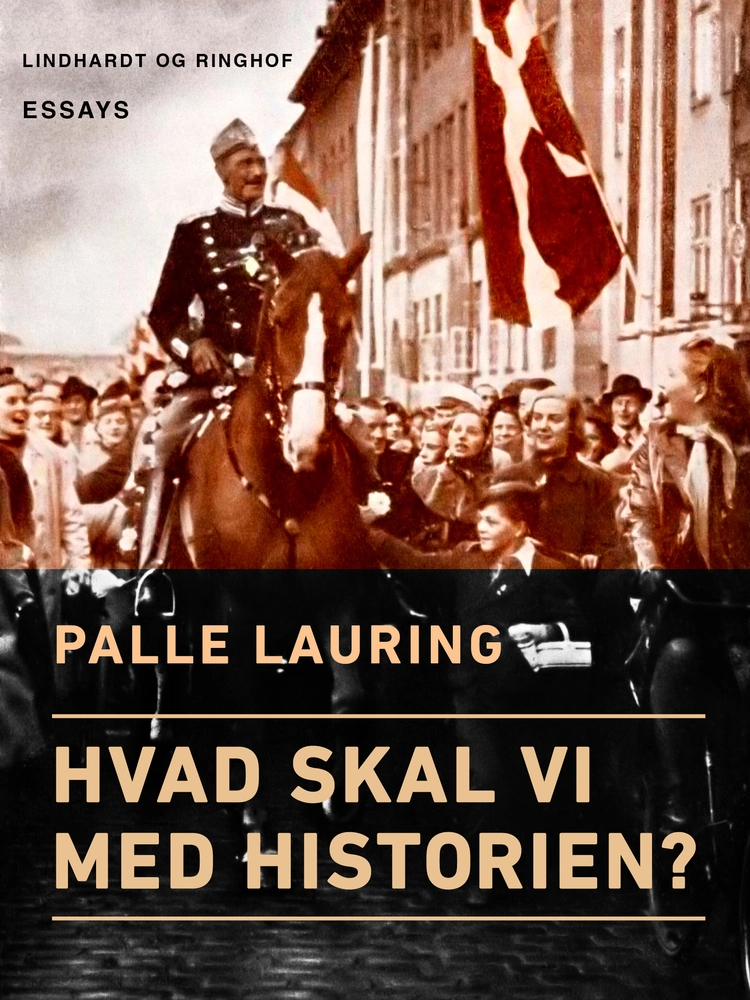Billede af Hvad skal vi med historien?