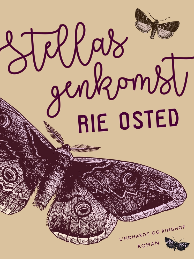Billede af Stellas genkomst