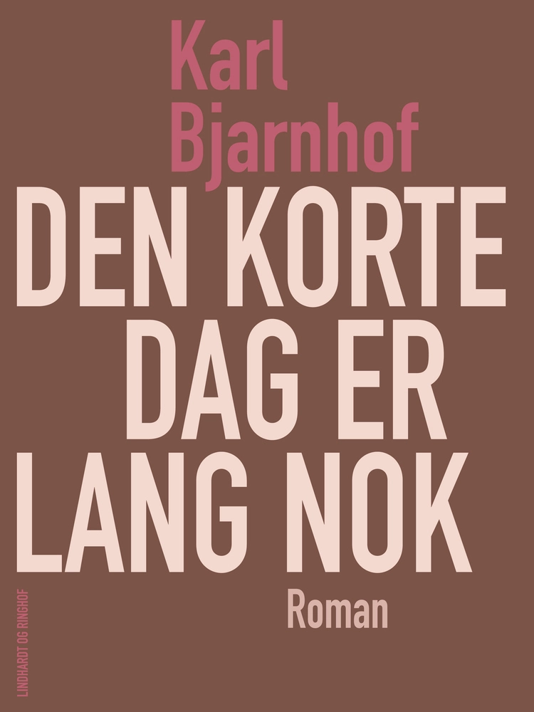Billede af Den korte dag er lang nok