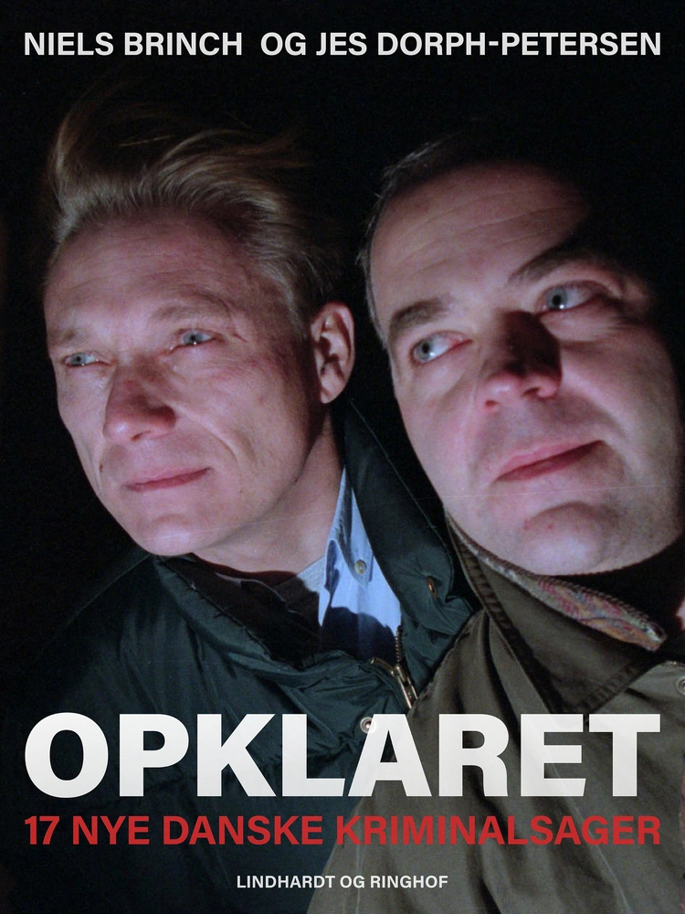 Billede af Opklaret: 17 nye danske kriminalsager
