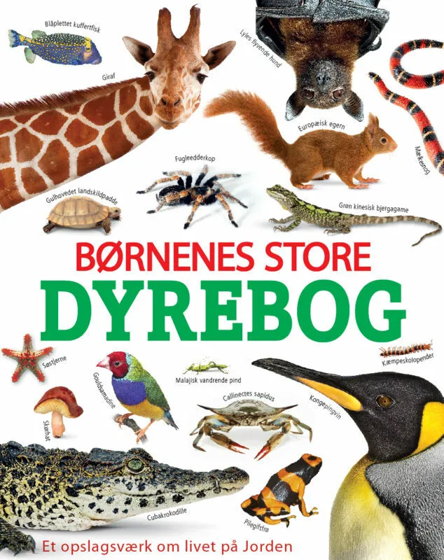 Billede af Børnenes store dyrebog