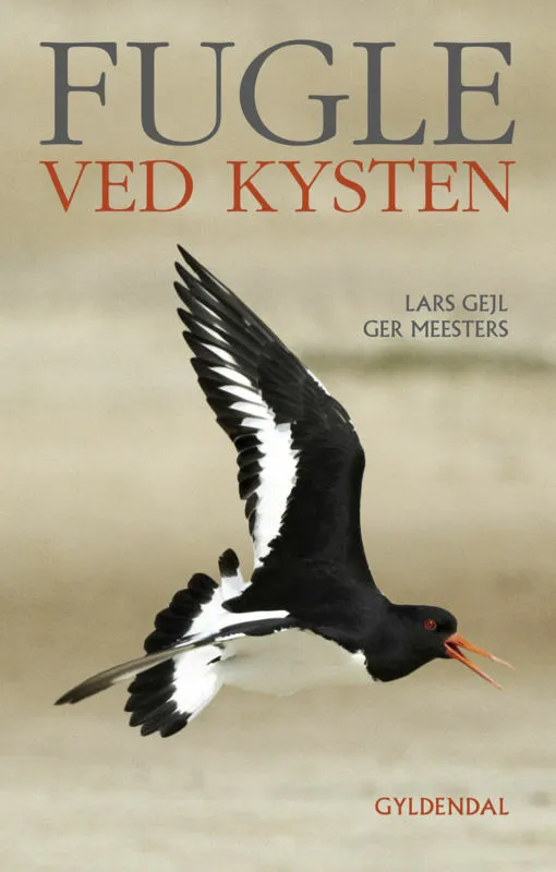 Billede af Fugle ved kysten