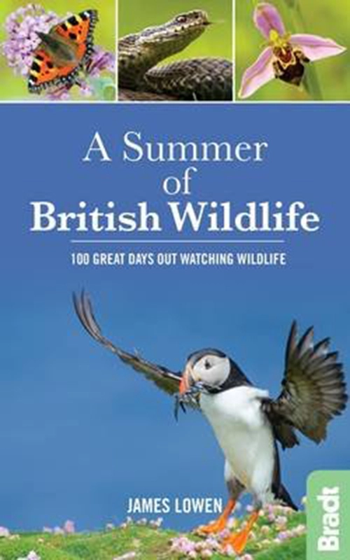 Billede af A Summer of British Wildlife: 100 great days out watching wildlife