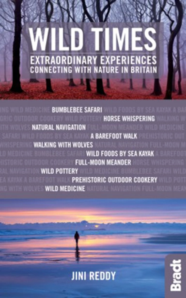 Wild Times: Extraordinary Experiences Connecting with Nature in Britain
